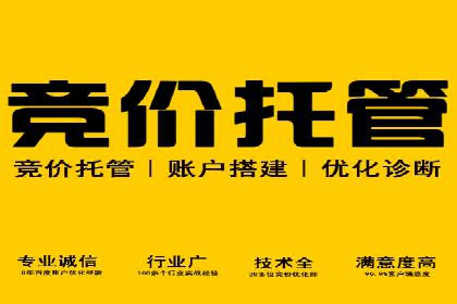 成功案例：网站sem托管如何影响销售数据